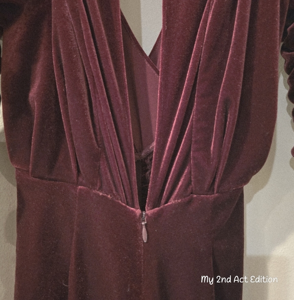 Ronny Kobo Maroon Velvet Deep V-Neck Ruched Sleeve Maxi Dress Size XS [Like New] - Picture 9 of 12
